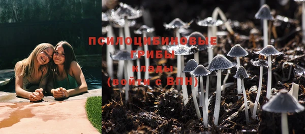 герыч Вяземский