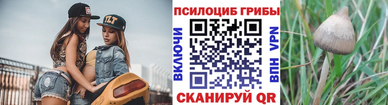 Галлюциногенные грибы ЛСД  мега сайт  Заозёрный  маркетплейс клад  хочу наркоту 